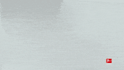 GIF by Bundesliga
