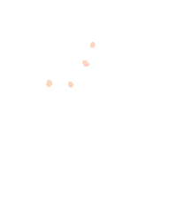 Zig Zag Explosion Sticker by Forever Projects