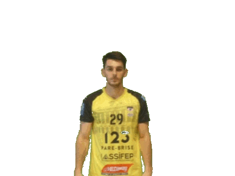 Sport Handball Sticker by Hazebrouckhandball