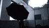 Film Director Toronto GIF by Bernardson