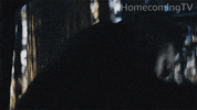 Homecoming GIF by Amazon Prime Video