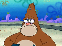 season 3 GIF by SpongeBob SquarePants