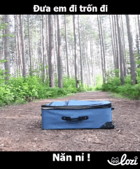 tumy GIF by Lozi Singapore Co.