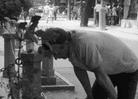 Film Throw Up GIF