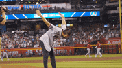 Happy Major League Baseball GIF by MLB