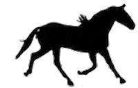 horse STICKER