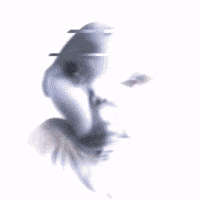 Baby Tuff GIF