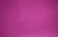 I Love You Hearts GIF by j.a.c.k.i.e.l.a.n.d