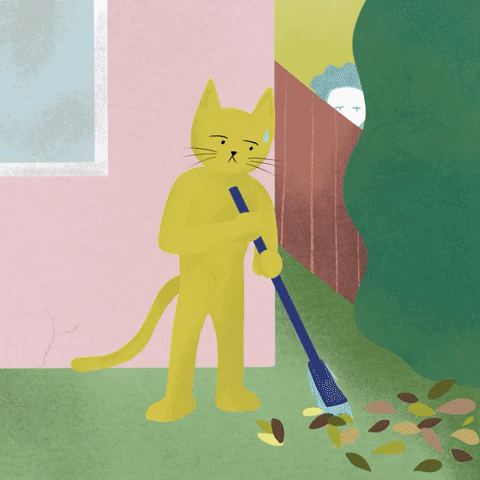 Miqan giphyupload sweeping miqan mustard the cat GIF