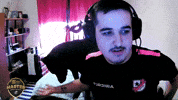 Mlpcsgo GIF by Master League Portugal
