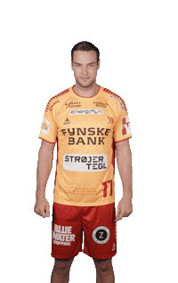 Celebration Handball Sticker by GOG Sport