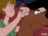 Motorcycle Escape GIF by Scooby-Doo