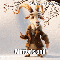 Spring Hope GIF by Radiantelope