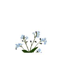 Happy Forget Me Not Sticker by Caroline Spence