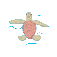 fundacaotoyota tartaruga mundoftb fundacaotoyotadobrasil apacc Sticker