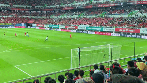 qwerpoiu22ppop giphyupload GIF