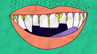 Confessions of a Teenage Beauty Routine