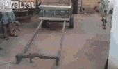 cow pun GIF by MakeSpace