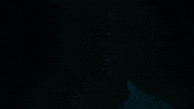 I Dont Wanna Be Famous GIF by NNAMDÏ
