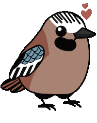 Bird Jay Sticker