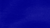 Its A Disaster GIF by Jeopardy!