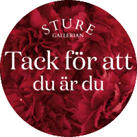 Valentinesday Sticker by Sturegallerian