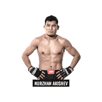 Mixed Martial Arts Mma Sticker by BRAVE Combat Federation