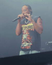 Ludacris Bottlerock GIF by Respective