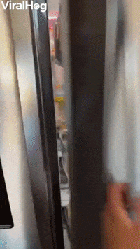 Daughter Surprises Mom With Googly Eyes GIF by ViralHog