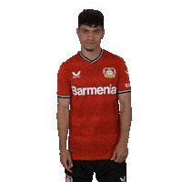 Come On Please Sticker by Bayer 04 Leverkusen