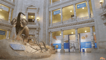 reading rainbow lol GIF by LeVar Burton Kids