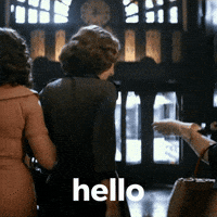 Excuse Me Hello GIF by Blake Lively Fan