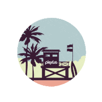 Travel Florida Sticker by Plexus Worldwide