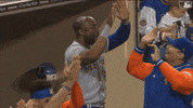 High Five Major League Baseball GIF by MLB