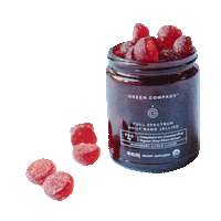 Sticker by Green Compass Global