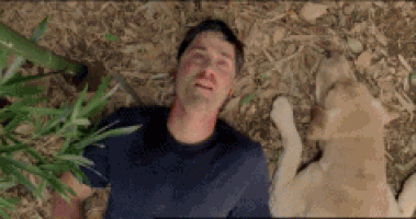sandrogogidze giphyupload GIF