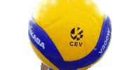 Volleyballgr Sticker by HellenicVolleyballFederation