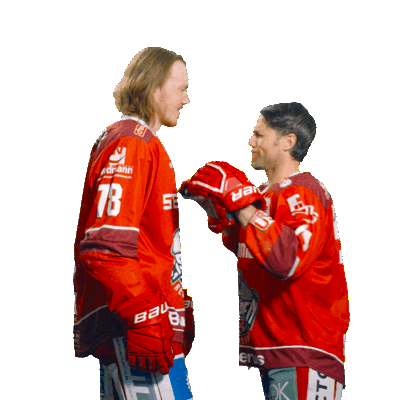 Goal Win Sticker by Eisbären Regensburg