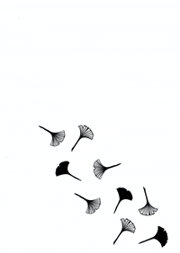 GIF by Shefest