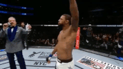 ufc 205 GIF
