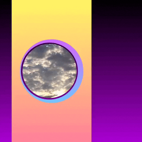 Im Like A Bird GIF by bryan