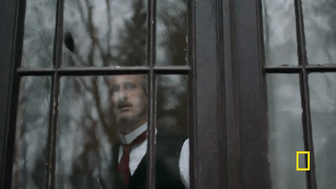 genius GIF by National Geographic Channel