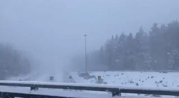 Heavy Snow Reported in Washington State Amid Record-Low Temperatures
