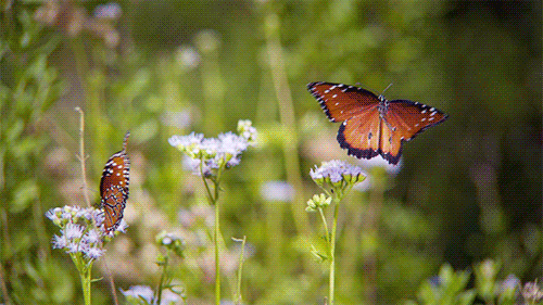 season 1 nbc GIF by The Good Place