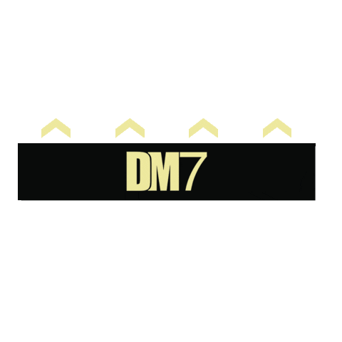 party festival Sticker by DM7 Bookings
