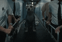 Weve Got To Try GIF by The Chemical Brothers