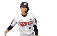 Baseball Sticker by kt wiz