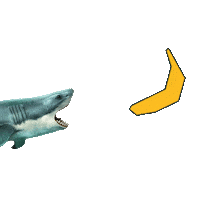 Shark Bananas Sticker by Equifruit