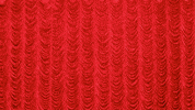 Art Wow GIF by Elvis Costello