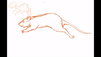 RAT RUN